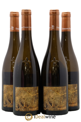 Muscadet-Sèvre-et-Maine sur lie Terre de Pierre Luneau-Papin