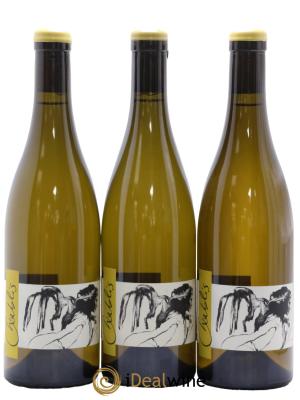 Chablis Vent d'Ange Pattes Loup (Domaine)