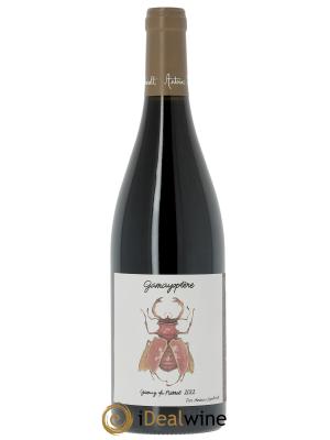 Coteaux Bourguignons Gamayoptère Antoine Lienhardt 