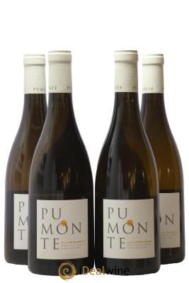 Vin de Corse Calvi Pumonte Domaine Alzipratu