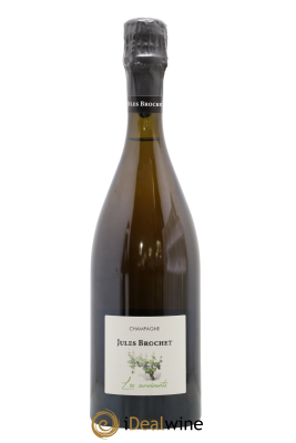 Les Survivants Brut Jules Brochet