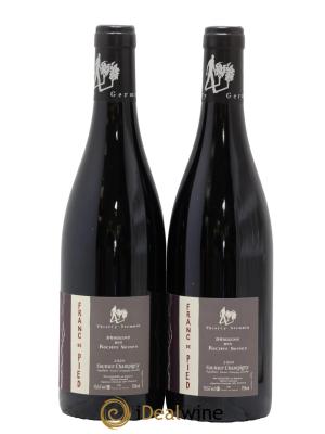 Saumur-Champigny Franc de pied Domaine des Roches Neuves - Thierry Germain