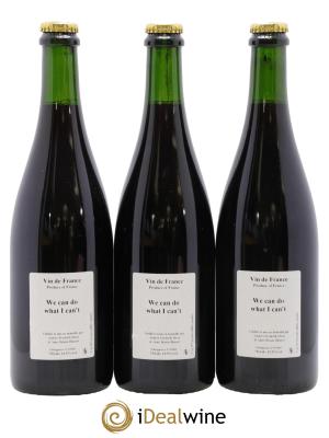 Vin de France We Can Do What I Can't Anders Frederik Steen