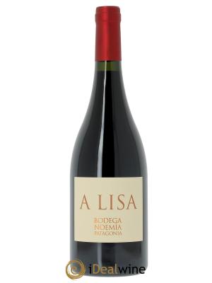 Rio Negro Bodega Noemia A Lisa 