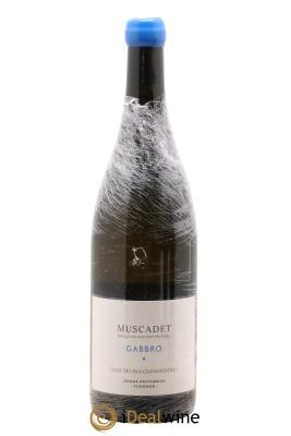 Muscadet-Sèvre-et-Maine Gabbro Jérôme Bretaudeau - Domaine de Bellevue