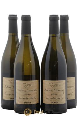 Saumur Les Salles Martin Antoine Sanzay