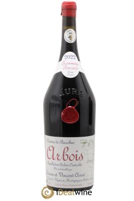 Arbois Trousseau Ruzard Cuvée des Géologues Lucien Aviet (Domaine) 