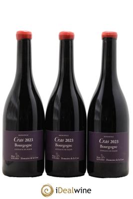 Bourgogne Cras Domaine de la Cras - Marc Soyard