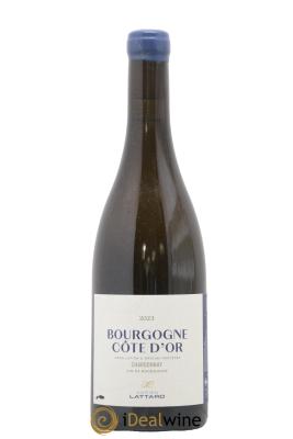 Bourgogne Côte d'Or Chardonnay Adrien Lattard