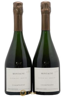 Montagne Verzy Grand Cru Les Monts Fournois (Domaine)