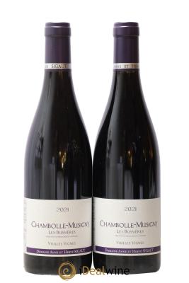 Chambolle-Musigny Les Bussières Vieilles Vignes Anne et Hervé Sigaut (Domaine)