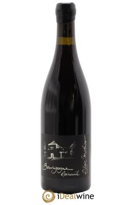 Bourgogne Domaine Epineuil Tradition Domaine Alain Mathias