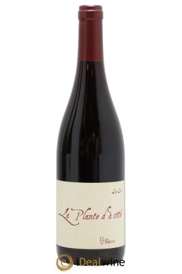 Vin de France La Plante d'à coté Binaume Bizot-Naudin