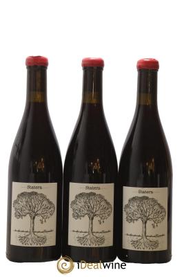 Vin de France Statera Jérôme Bretaudeau - Domaine de Bellevue