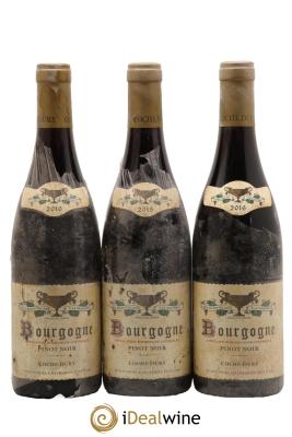 Bourgogne Coche Dury (Domaine)