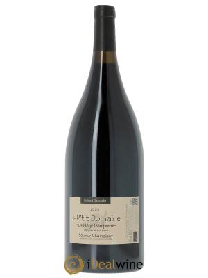 Saumur-Champigny La Haye Dampierre Le P'tit Domaine 