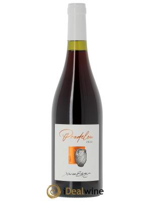 IGP Pays d'Hérault Pradelou Terrasse d'Elise (Domaine de la) 