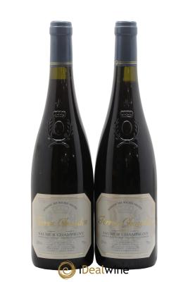 Saumur-Champigny Terres Chaudes Domaine des Roches Neuves - Thierry Germain