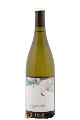 Bourgogne Aligoté En Coulezain Les Horées