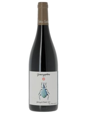 Coteaux Bourguignons Gamayoptère Antoine Lienhardt