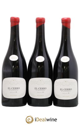 Bierzo DO El Cerro De Valdecanada