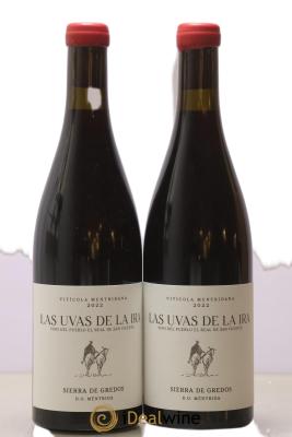 Méntrida DO Viticola Mentridana (anciennement Daniel Jimenez-Landi) Las Uvas de la Ira