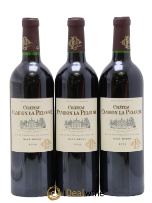 Château Cambon la Pelouse Cru Bourgeois