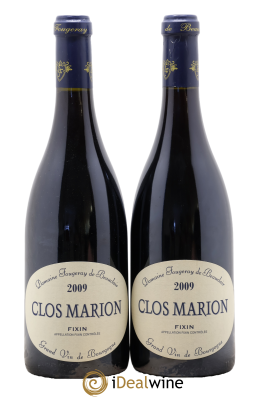 Fixin Clos Marion Fougeray de Beauclair (Domaine)