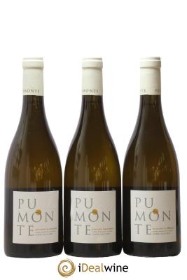 Vin de Corse Calvi Pumonte Domaine Alzipratu