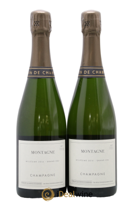 Montagne Verzenay Grand Cru Les Monts Fournois (Domaine)