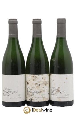 Bourgogne Roulot (Domaine)