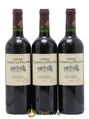 Château Cambon la Pelouse Cru Bourgeois