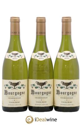 Bourgogne Coche Dury (Domaine)