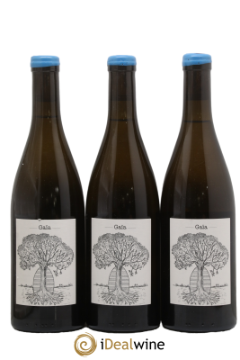 Muscadet-Sèvre-et-Maine Gaia Jérôme Bretaudeau - Domaine de Bellevue