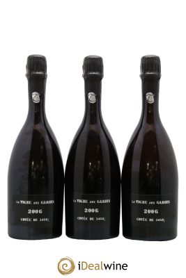 La Vigne aux Gamins Alain Thiénot