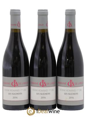 Vosne-Romanée 1er Cru Les Suchots Domaine de l'Arlot
