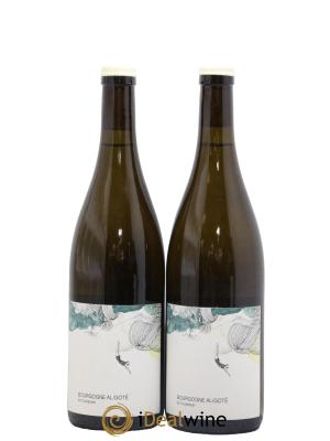 Bourgogne Aligoté En Coulezain Les Horées
