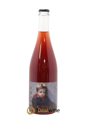 Vin de France Youthfulness Verre de Terre Benoit Rosenberger