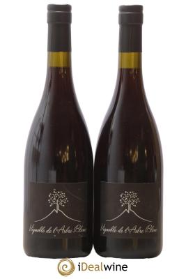 Vin de France Les Petites Orgues Vignoble de l'Arbre Blanc 