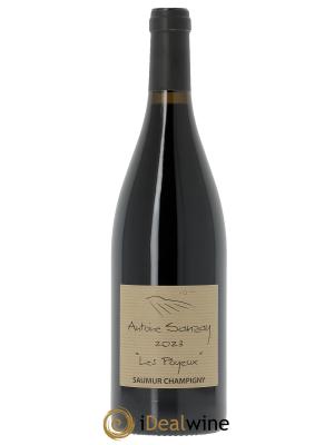 Saumur-Champigny Les Poyeux Antoine Sanzay 