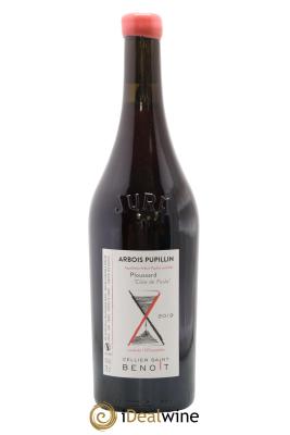 Arbois-Pupillin Ploussard Côte de Feule Cellier Saint Benoît