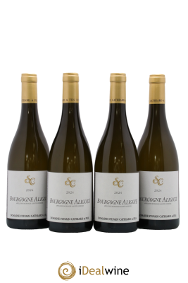 Bourgogne Aligoté Sylvain Cathiard & Fils