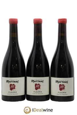 Fleurie Clos du Pavillon - Monopole Domaine des Marrans