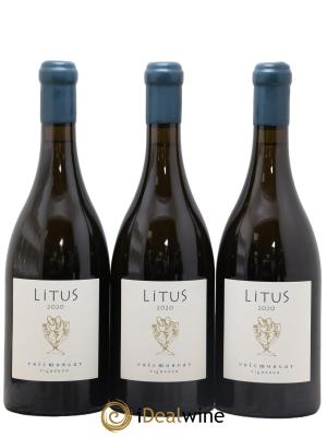 Anjou Litus Eric Morgat