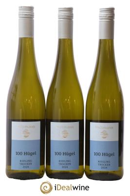 Allemagne Rheinhessen 100 Hugel Riesling Trocken Wittmann