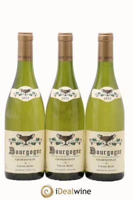 Bourgogne Coche Dury (Domaine)
