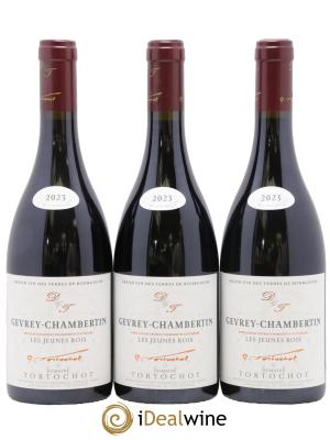 Gevrey-Chambertin Les Jeunes Rois Tortochot (Domaine)