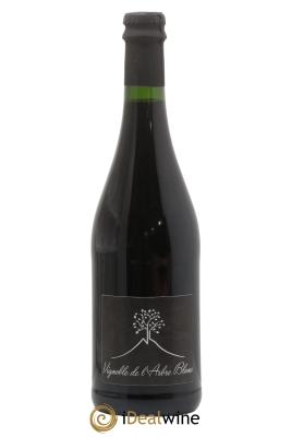 Vin de France Les Orgues Vignoble de l'Arbre Blanc