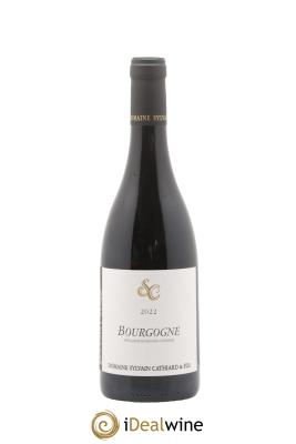 Bourgogne Sylvain Cathiard & Fils