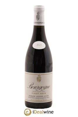 Bourgogne Antonin Guyon